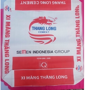 Xi măng Thăng Long